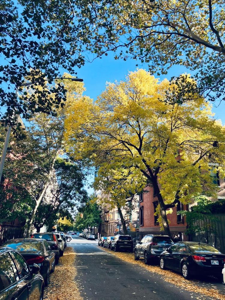 Harlem Grand